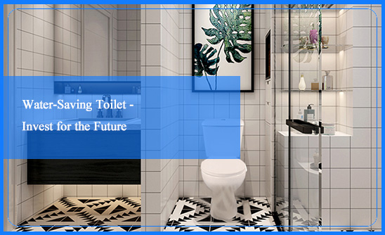 Water-Saving Toilet – Invest for the Future
